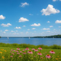 What’s the Weather Like in Chesapeake?
