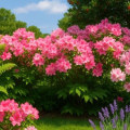 Plants That Grow Well in Chesapeake