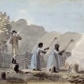 What made the chesapeake colonies unique?