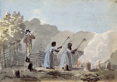What made the chesapeake colonies unique?